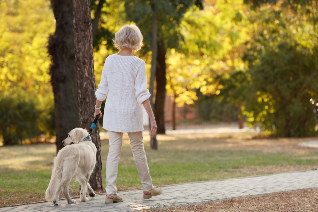 Senior woman walking with dog in park
