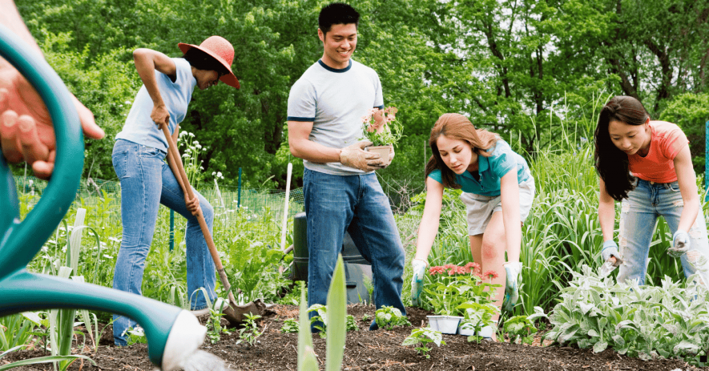 A group of people part of a community gardening